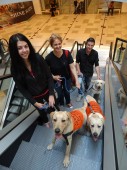 Пощенска банка ще подкрепи инициативата "Отвори очи за свободния достъп на кучета водачи”