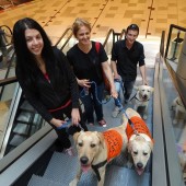 Пощенска банка ще подкрепи инициативата "Отвори очи за свободния достъп на кучета водачи”