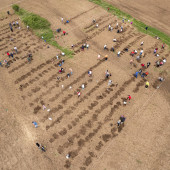 DJI_0544
