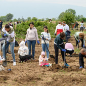 Photo_2_Postbank_CSR_Novata gora na Sofia-2_MC